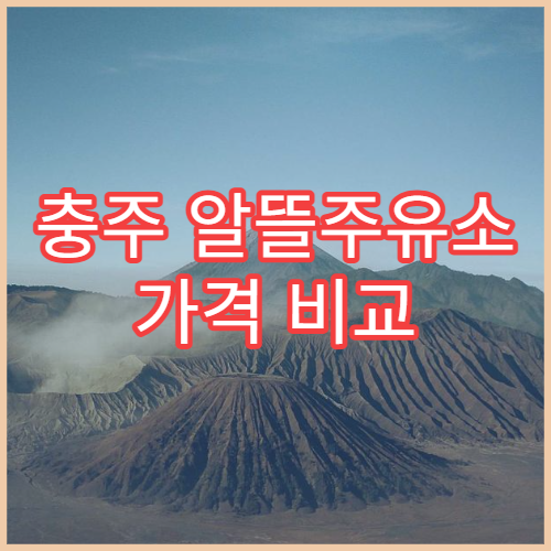 충주 알뜰주유소 가격 비교 기름값 절약 팁