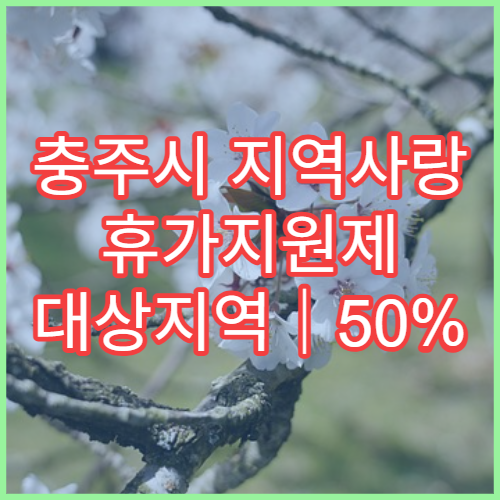 충주시 지역사랑 휴가지원제 대상지역｜50% 환급 가이드