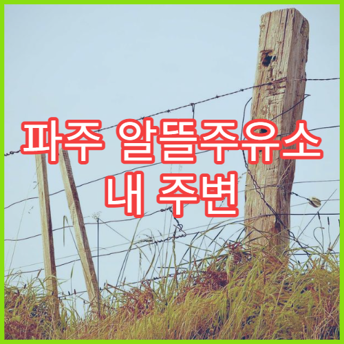 파주 알뜰주유소 내 주변 위치 찾기 오피넷 주유소 검색 방법